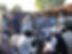 background1.jpeg