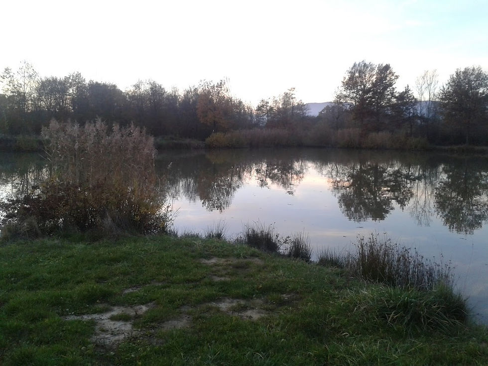 20151108_163048