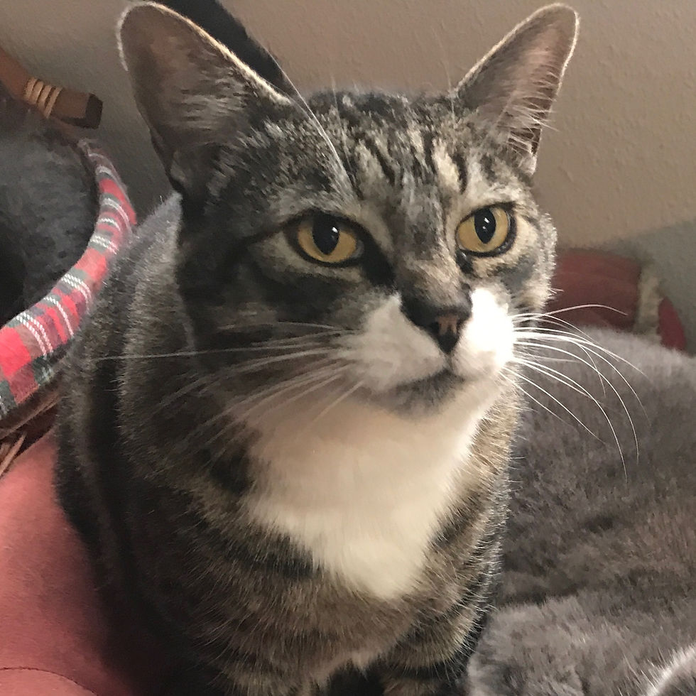 Lucy, retired