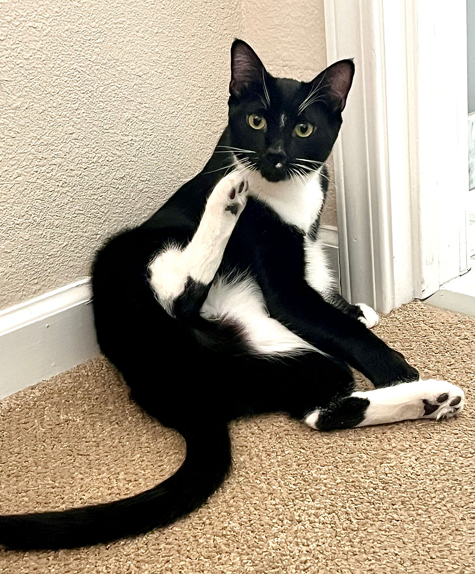 Rozzie, office
