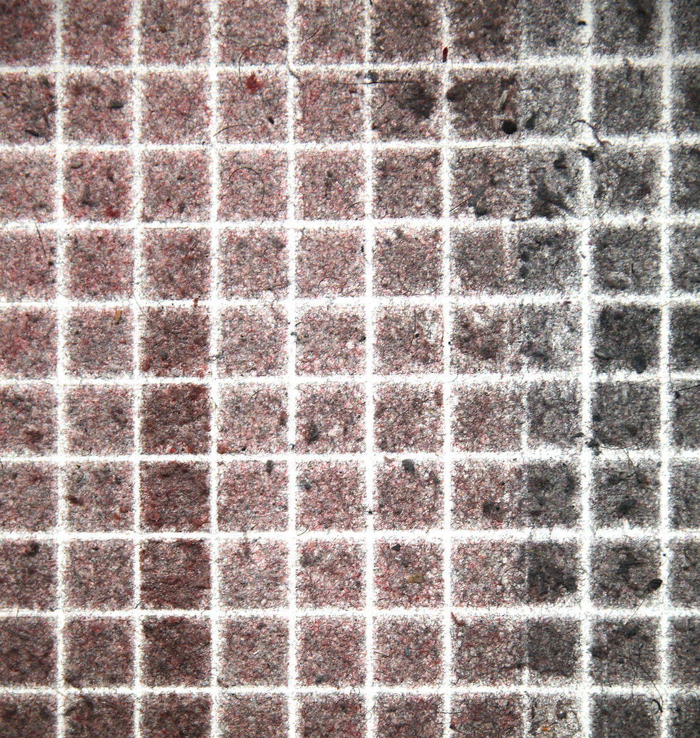 48 x 72 (detail)