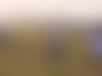 Liberty’s Hodges ready for civilian world