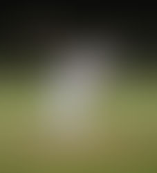 Stallions still hurt by mistakes