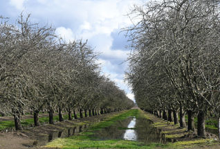 Latest storm gives some relief to farmers