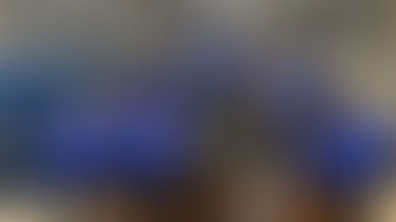 Coyotes climb D2 mountain