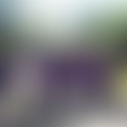 Annual Relay For Life set for Saturday