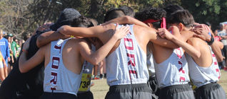 Toros XC places fifth in state