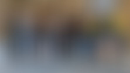 Much-needed fencing completed