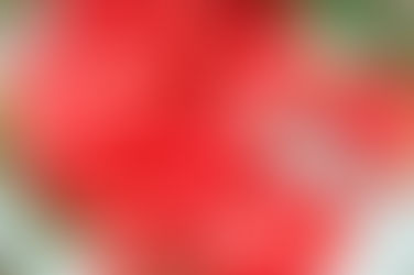 Wonderful ways with watermelon