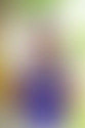 All-Star represents Madera at first Little League girl event