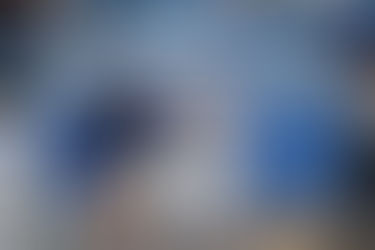 Coyotes walk off to second