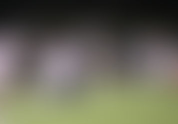 Stallions get Homecoming victory