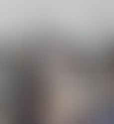 Stallions dominant in return to NYL