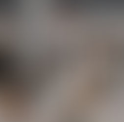 Toros drop volleyball match to Bears