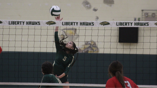 Hawks outlast Lions in five