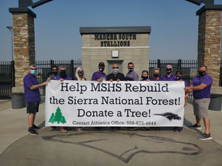 Gym studios replant trees in forest