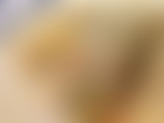 Ideas for leftover turkey