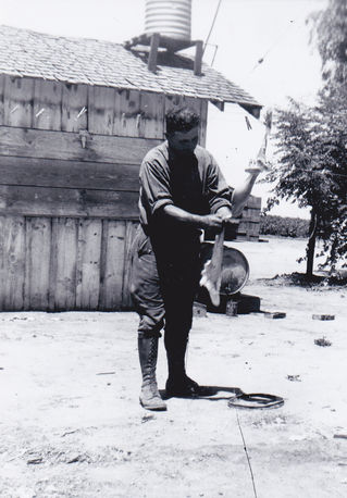 History in the Week of Aug. 5