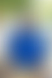 Madera High names Murphy as Grand Marshal