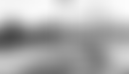 Fire cleared the way for Courthouse Park