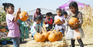 Madera FFA hosts Ag Literacy days
