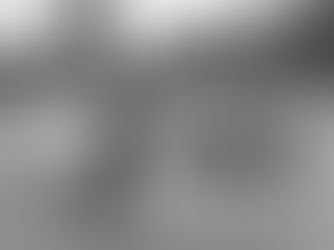 Coyotes capture gold in the cold