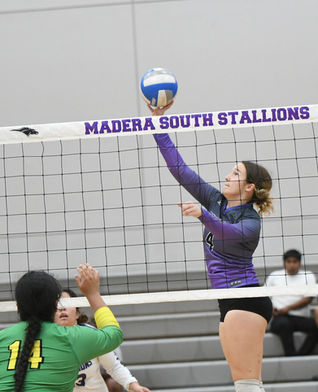 Stallions rebound with league win