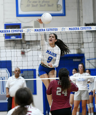 Coyotes open season with win