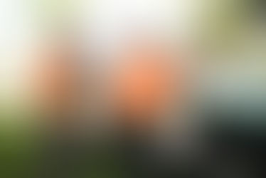 Search and Rescue leashing for fundraising