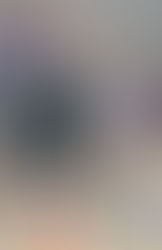 Big run sinks Stallions