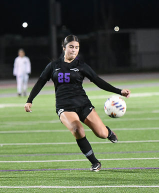 Quick goals leads to soccer rout over McLane