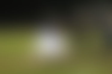 Hawks bend, but don’t break in win