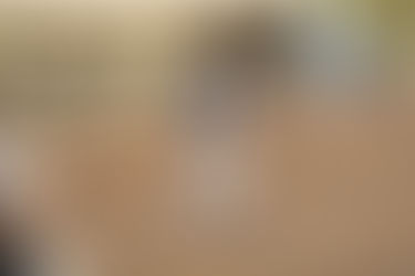 Coyotes get home tournament sweep