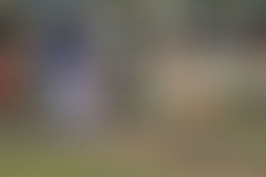 MNLL falls in state opener