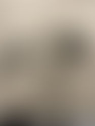 Gang enforcement task force nets arrests