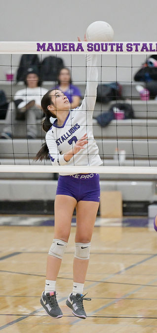 Stallions fall in final match