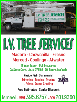 IV Tree Services ONLINE.png