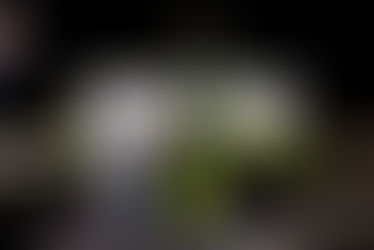 Herzog extends points lead with Spencer win