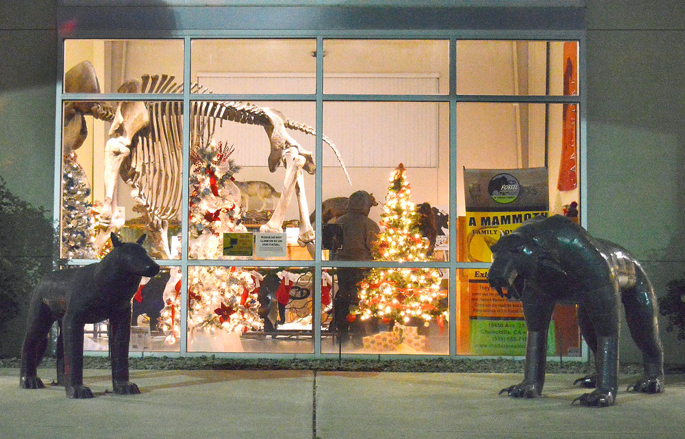 Fossil Discovery Center holds first Christmas showcase