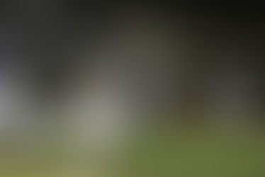 Hawks win league game at halftime