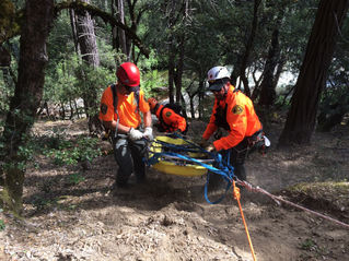 Sheriff’s recruiting for search and rescue teams