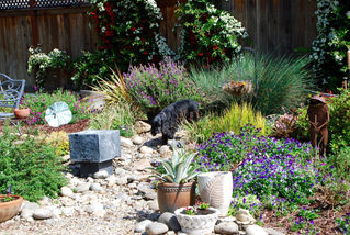 Madera looks to flourish during annual Glorious Gardens Tour