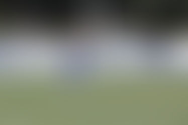 Coyotes advance in softball playoffs