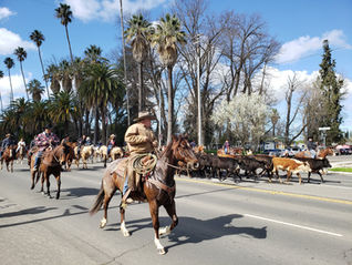 Chowchilla to host Stampede