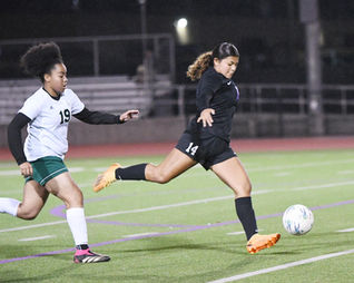 Toros, Stallions win NYL matches