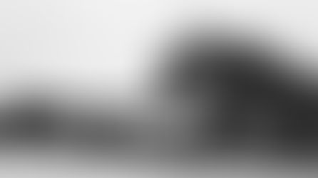 Yosemite Avenue’s garden of gossip