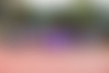 MUSD honors Ruby Bridges with walk