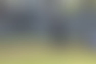 Moisa sets Stallions’ record in tourney