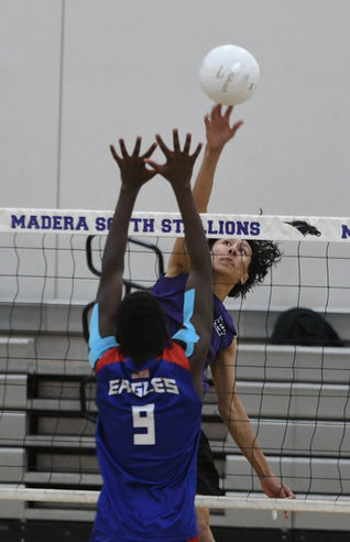 Stallions make quick work of Eagles