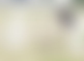 Madera fairgrounds goes to the dogs